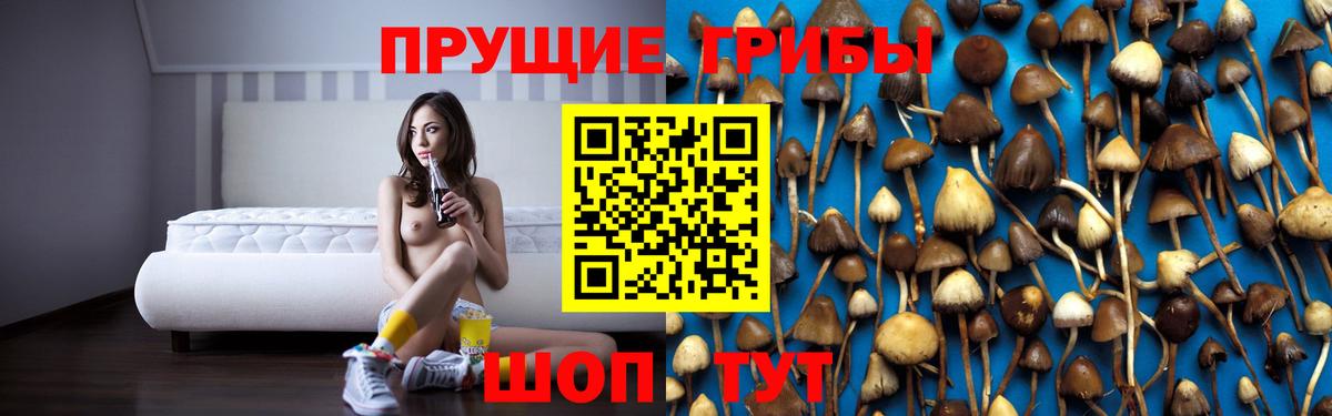 Псилоцибиновые грибы мухоморы Корсаков